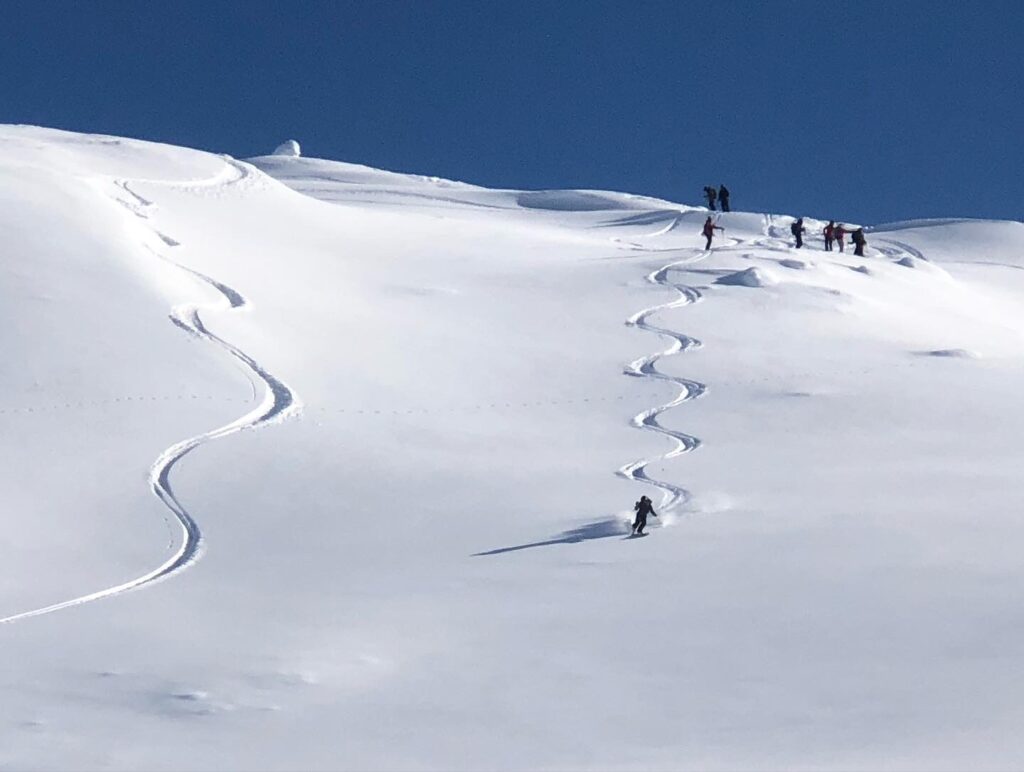 Back Country Ski Touring Wanaka