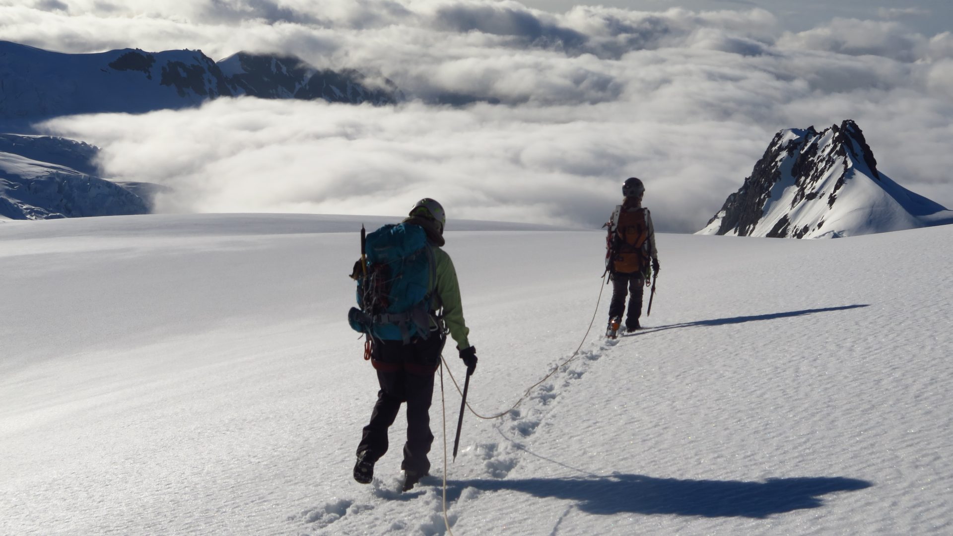 The Fox Glacier  - West Coast NZ